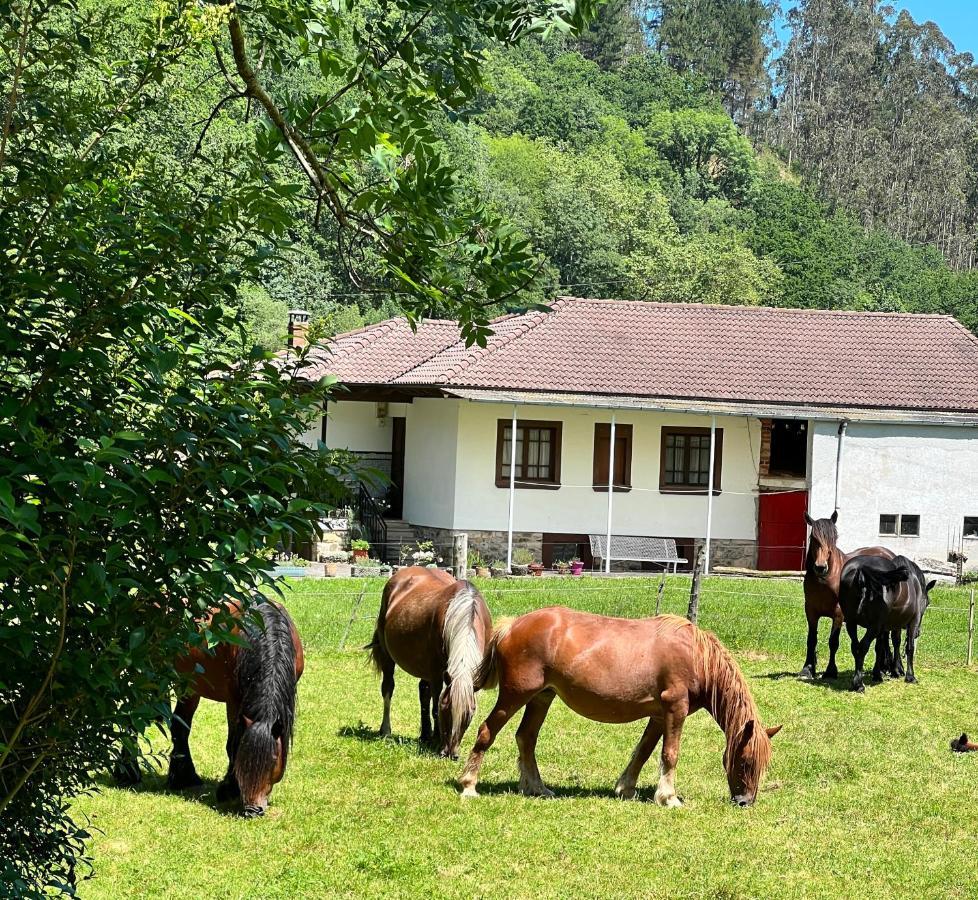 La Casita De Olivia Espinaredo Villa La Villa Buitenkant foto