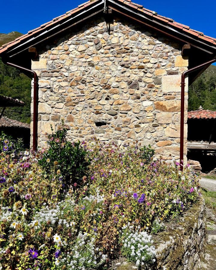 La Casita De Olivia Espinaredo Villa La Villa Buitenkant foto